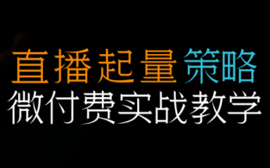 半野老师·直播带货起量与微付费必学课视频号-子比社区