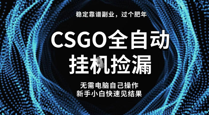 【稳定副业】全球最热门游戏CSGO全自动捡漏，最新玩法，新手小白日入5张+【揭秘】-子比社区