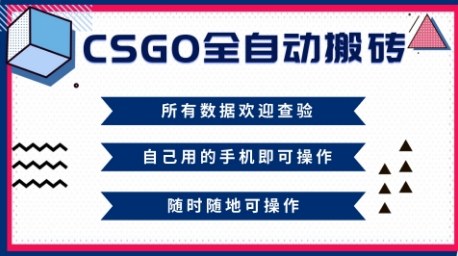CSGO全自动搬砖，年底钱回家好项目，当天可拿到结果，新手小白轻松月入1W+【揭秘】-子比社区