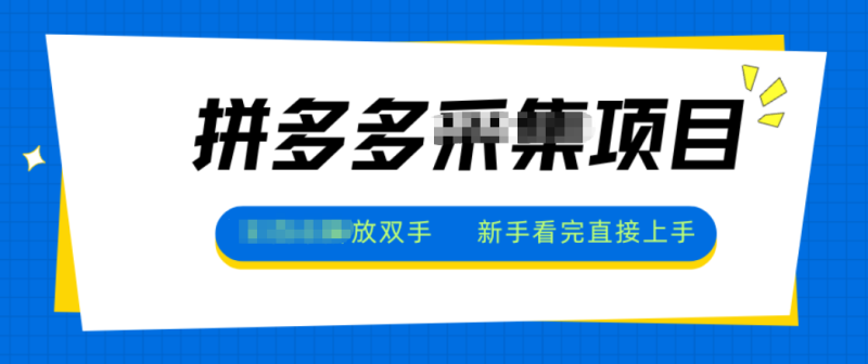 拼多多电商采集，一小时50+，操作简单，零投资-子比社区