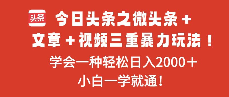 今日头条之微头条＋文章＋视频三重暴力玩法，学会一种轻松日入2000＋，…-子比社区