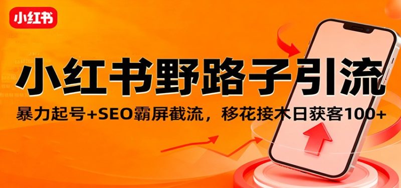 小红书野路子引流,暴力起号+SEO霸屏截流,移花接木日获客100+-子比社区