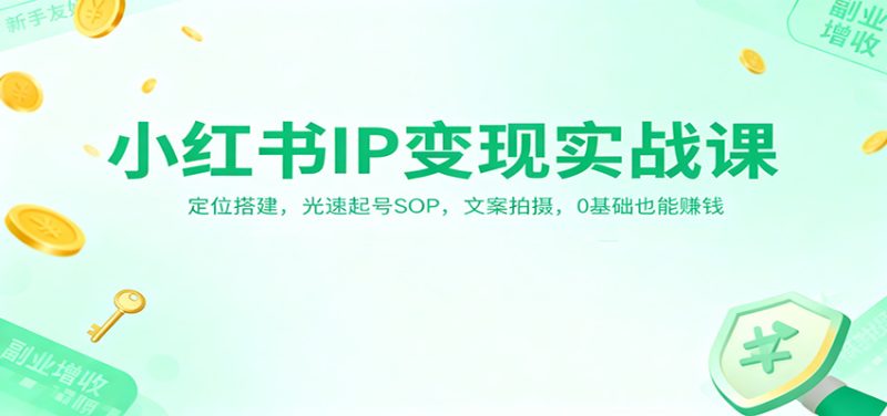 小红书IP变现实战课：定位搭建，光速起号SOP，文案拍摄，0基础也能赚钱-子比社区