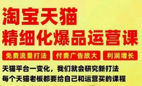 淘宝天猫精细化爆品运营课,免费流量打法-付费广告放大-利润增长-三大核心痛点,一次全部解决-子比社区